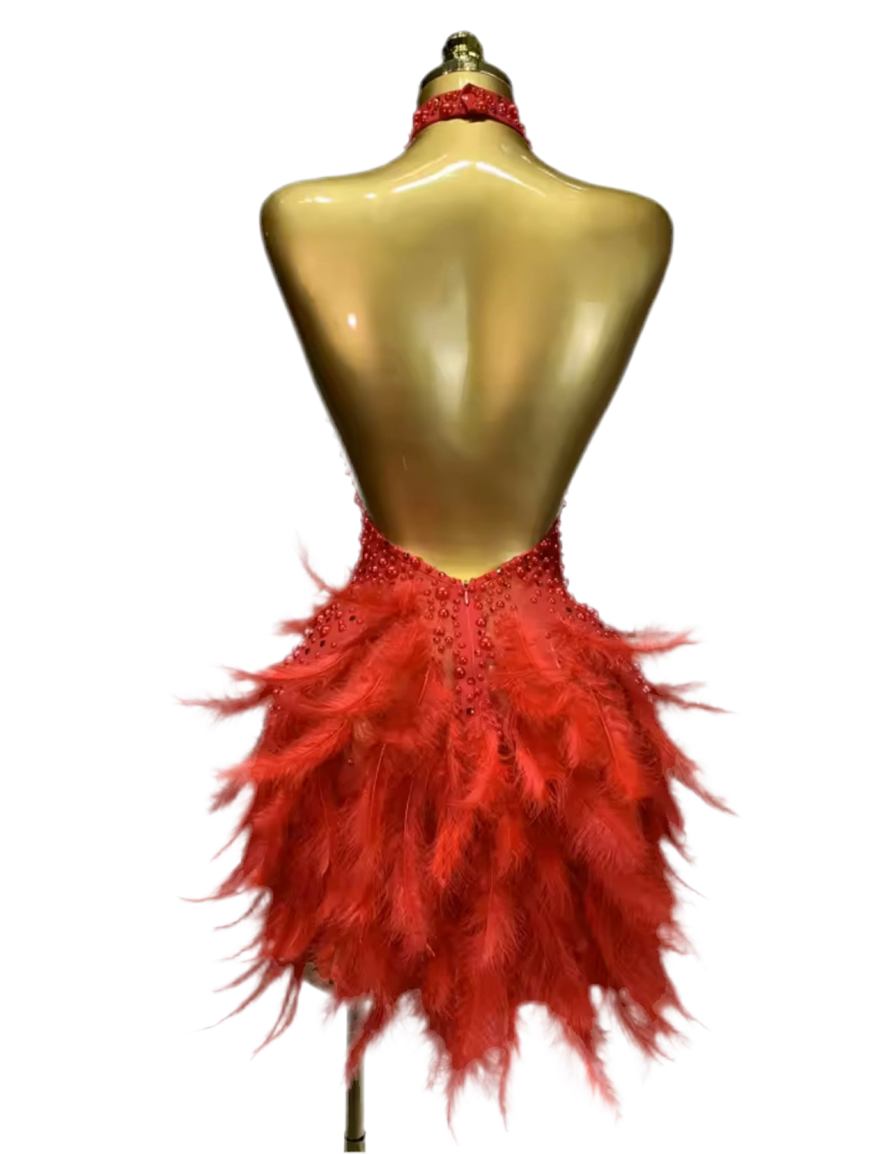 Birthday Feather Dress