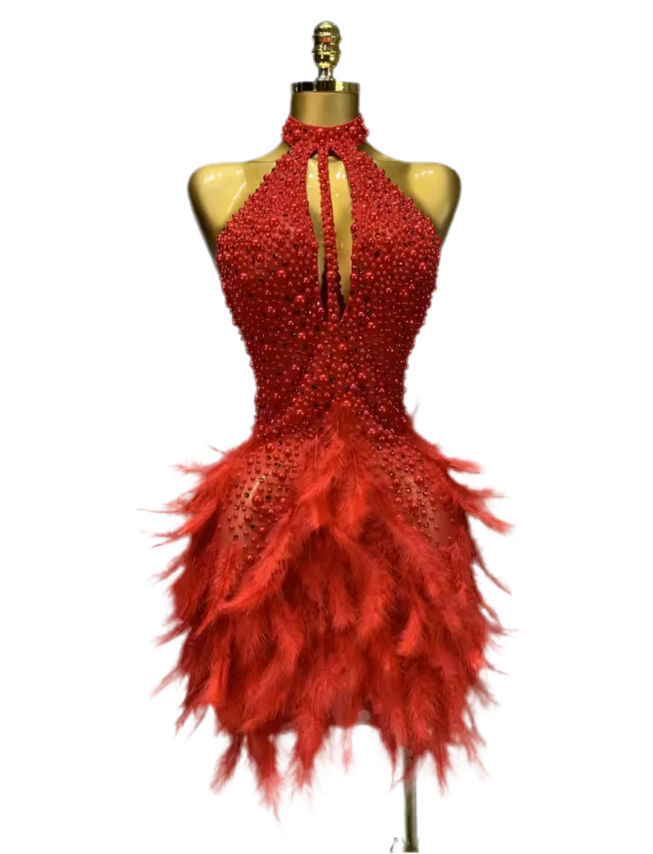 Birthday Feather Dress
